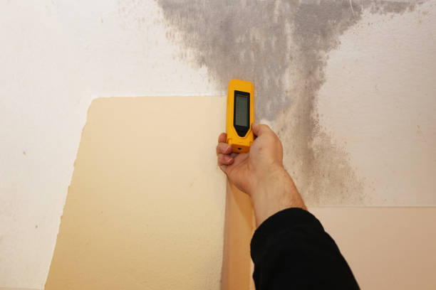 Best Mold Removal for HVAC Installations  in USA